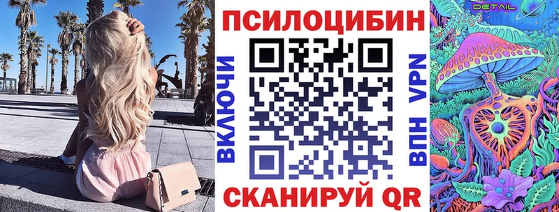 дарнет шоп  Куровское  Галлюциногенные грибы GOLDEN TEACHER 
